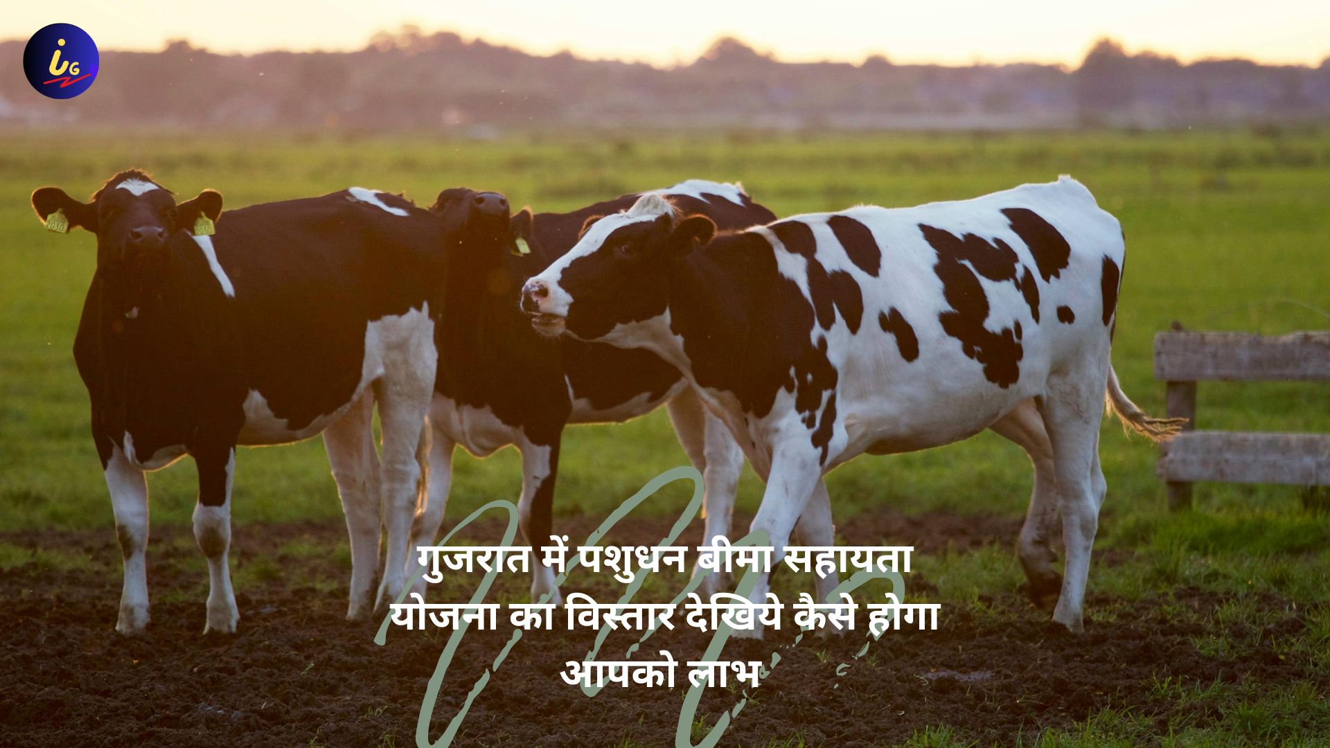 पशुधन बीमा सहायता योजना